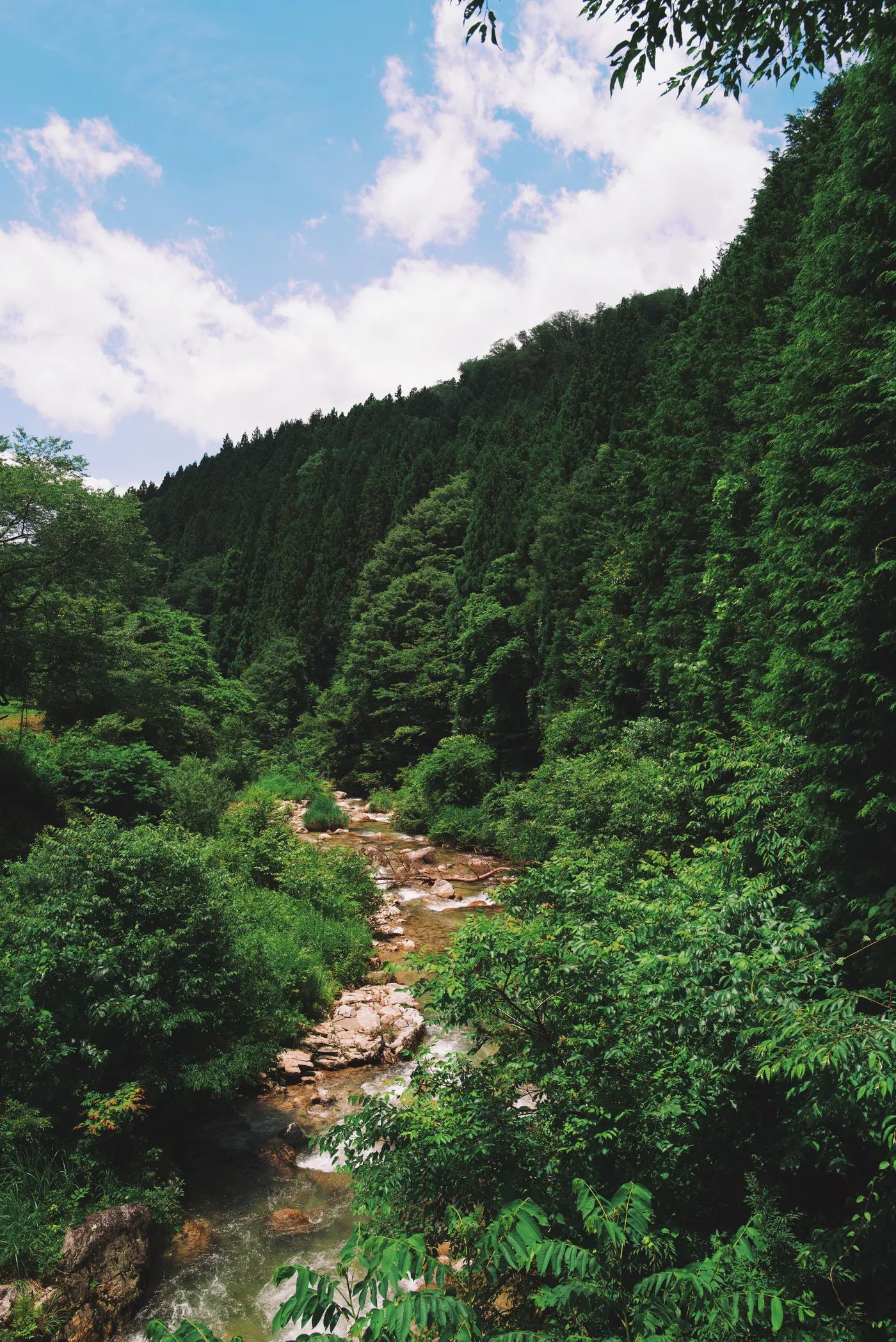 The Narai river rushing through a deep green gorge flanked by forest
