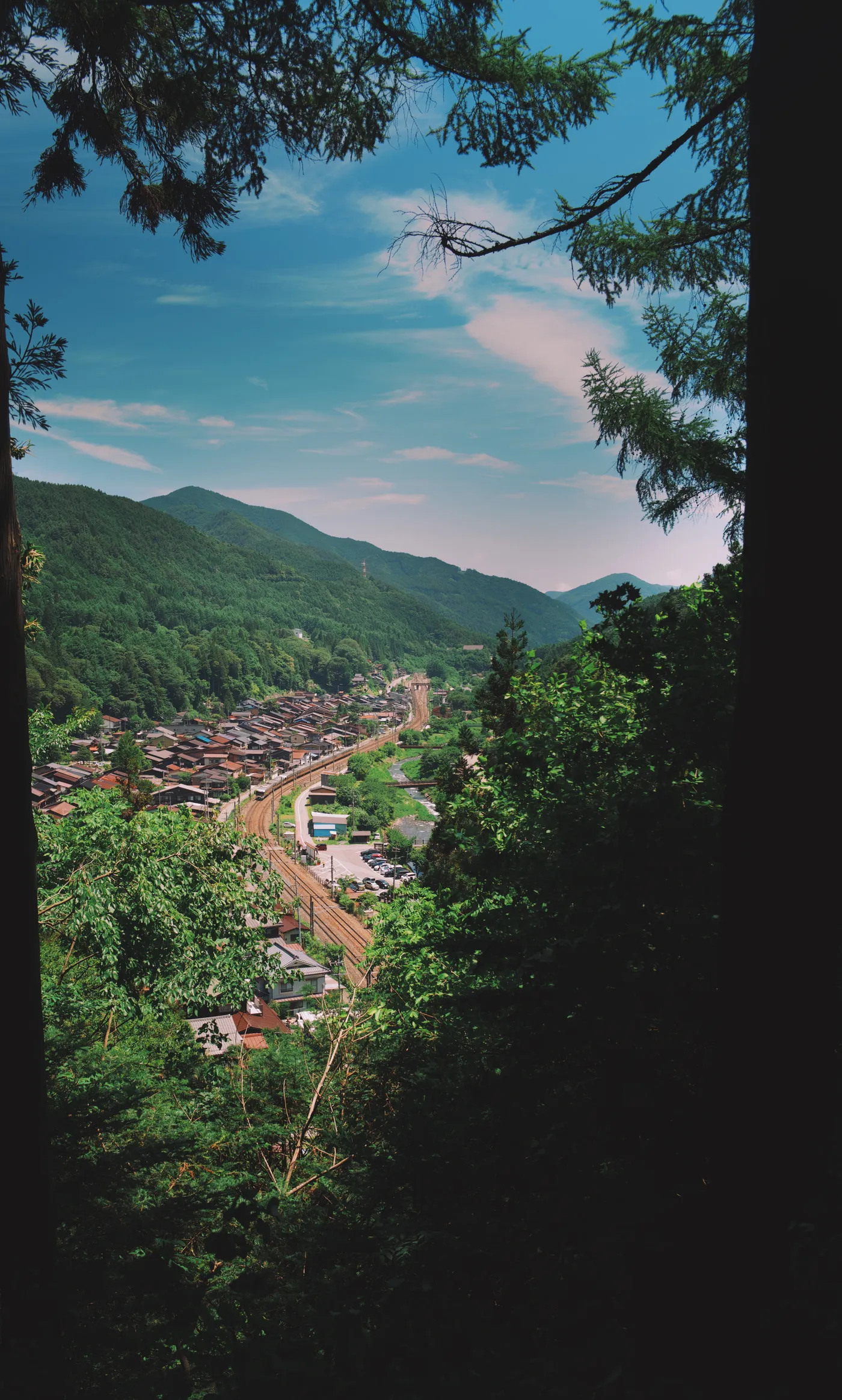 Looking straight down through cedar trees to a valley settlement and railway line below