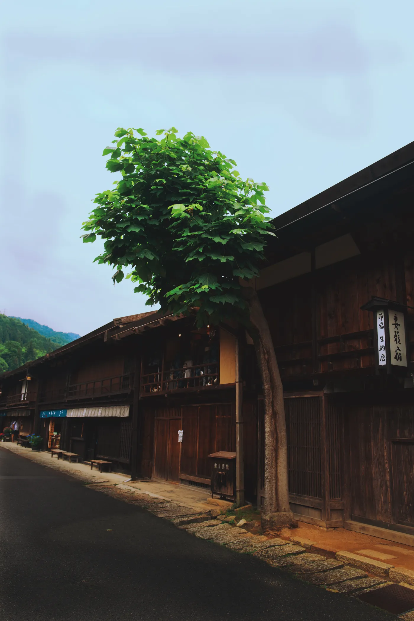 Post town street at dusk, a single tree growing beside wooden buildings, pale sky